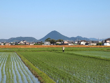 写真拡大