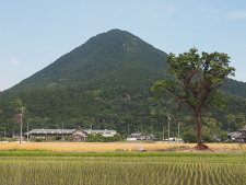 写真拡大