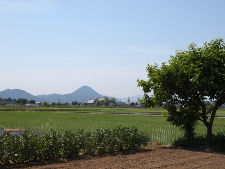 写真拡大