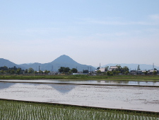 写真拡大