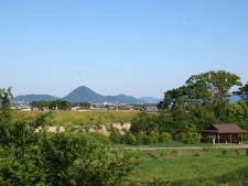 写真拡大
