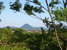 写真拡大