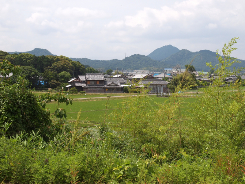 写真拡大