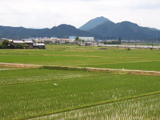 写真拡大