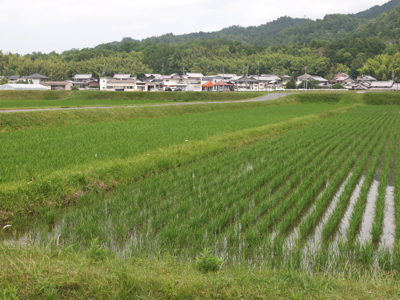 写真拡大