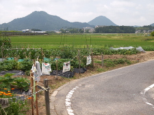 写真拡大