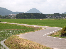 写真拡大