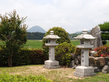 写真拡大