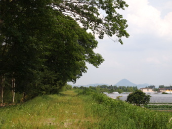 写真拡大