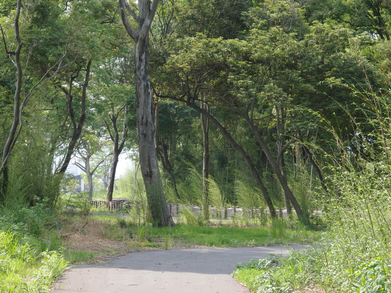 写真拡大