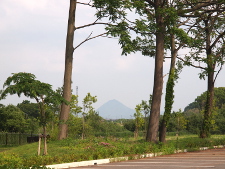 写真拡大