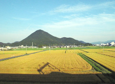 写真拡大