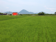 写真拡大