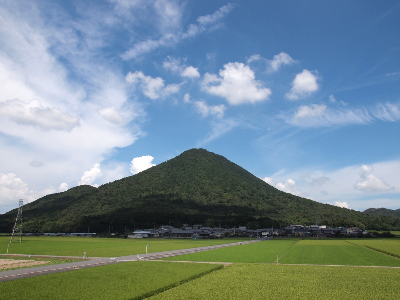 写真拡大