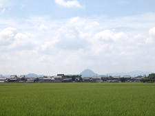 写真拡大