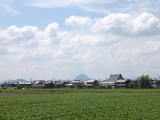 写真拡大