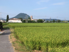 写真拡大