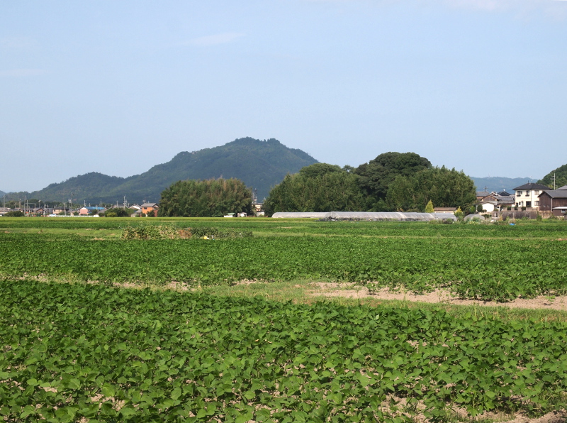 写真拡大