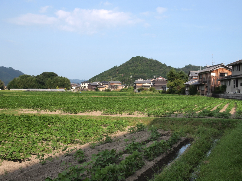 写真拡大