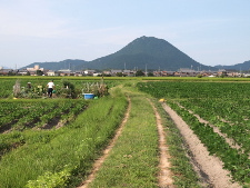 写真拡大