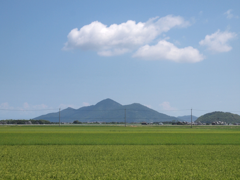 写真拡大