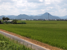 写真拡大