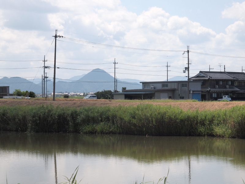 写真拡大