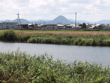 写真拡大
