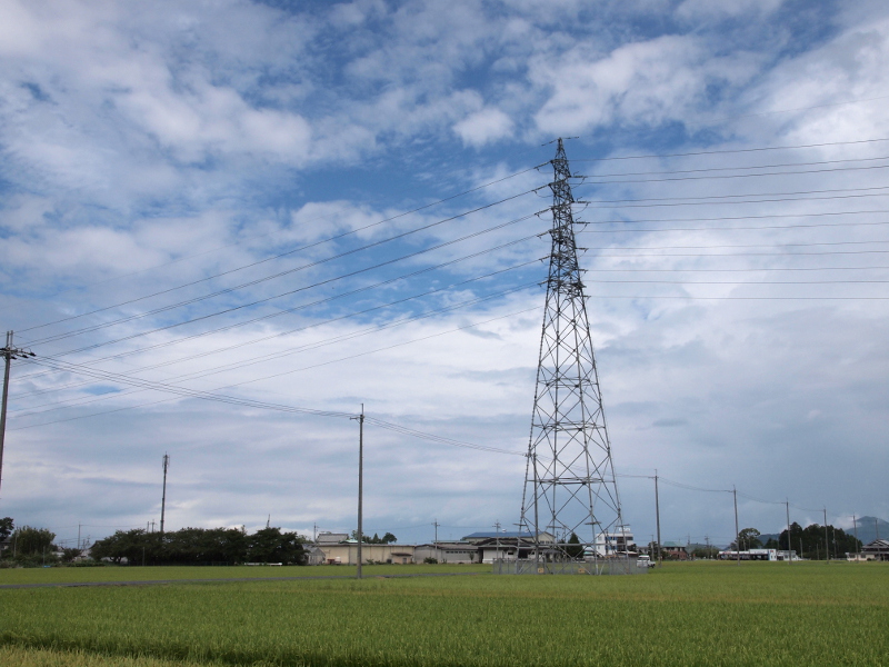 写真拡大