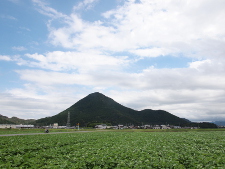 写真拡大