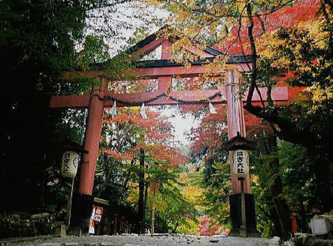 ◆大津市坂本・日吉大社、勇壮な山王祭(八)