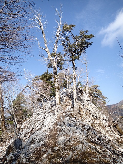 熊本の山で福寿草を目指て（二日目）