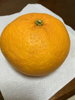 まねっこ まねっこ