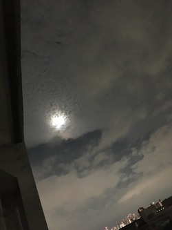 お月さま お月さま