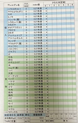 アレルギー検査の結果 アレルギー検査の結果