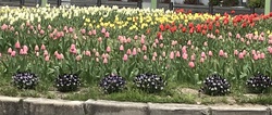 三月終わり 三月終わり