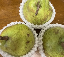 食べ物に走る 食べ物に走る