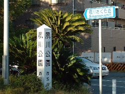 桜散歩 II 桜散歩 II