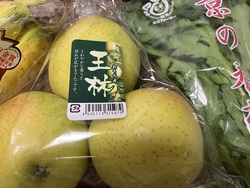 今日も伊丹行きでした 今日も伊丹行きでした