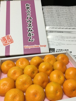 みかんも好きです みかんも好きです