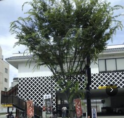 今日も伊丹行きでした 今日も伊丹行きでした