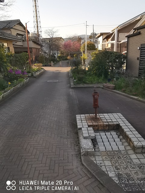 京阪・びわ湖浜大津駅近く：「大津絵の道」の花々