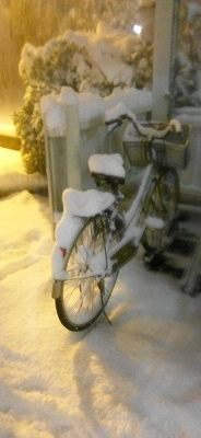 大津は予想以上の積雪！！