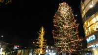 関西最大級のクリスマスツリー