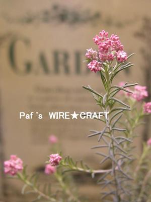 ピンク色の花