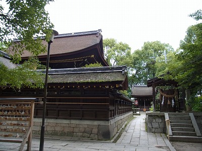 京都・藤森神社の紫陽花とカリンさま