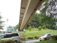 日本で１番　ニホンリスが見られる公園（１）