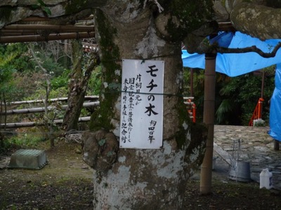 琵琶湖竹生島クルーズ