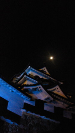 彦根の夜