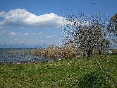 「かばた」のある町